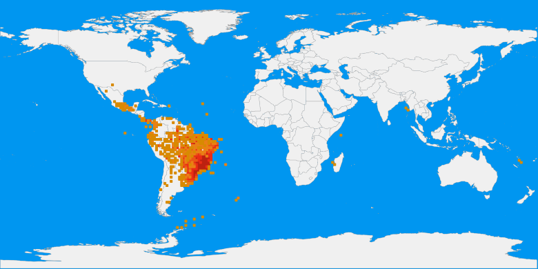 mapa de registros
